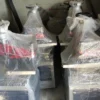 Nylon Bag Punching Machine